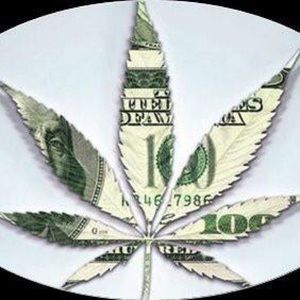 Meet your Posher, Johnny